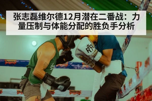 张志磊维尔德12月潜在二番战:力量压制与体能分配的胜负手分析