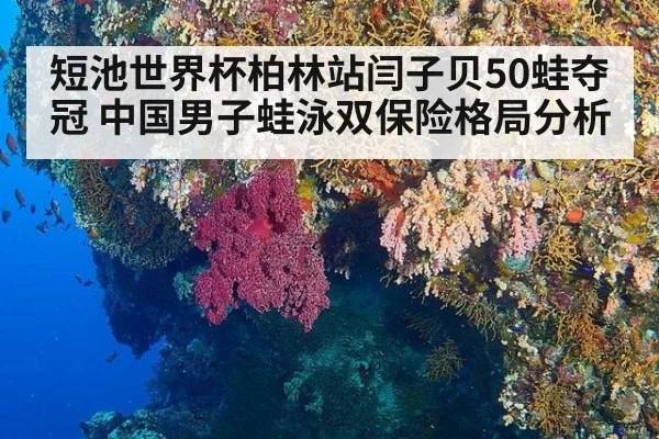 短池世界杯柏林站闫子贝50蛙夺冠 中国男子蛙泳双保险格局分析